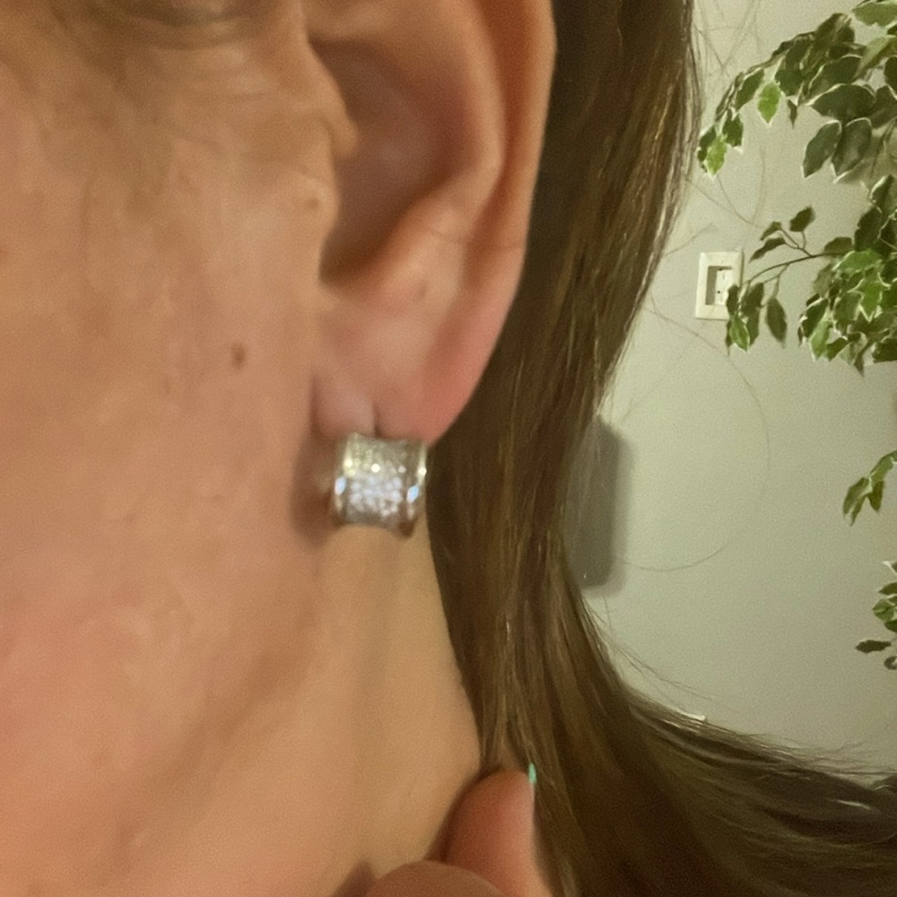 Blvg Earrings with Zirconia Silver